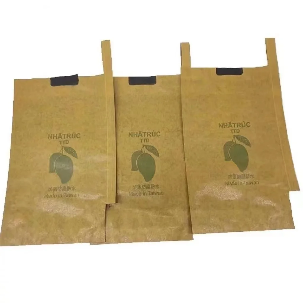 Bolsa cubierta de mango