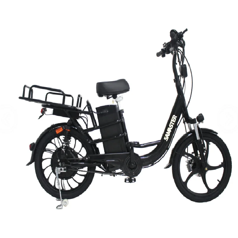 electric cargo bike used