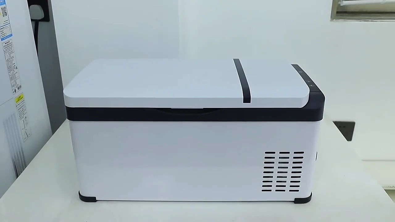 Hot Sell Mini Car Fridge 23l Compressor Car Freezer Fridges Portable