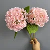 HH-rosa