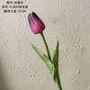 Viola intenso