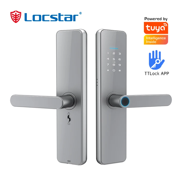 High Security Anti-Peep Code Fingerprint Door Handle WiFi APP Intelligent  Digital Smart Door Lock - China Smart Lock, Smart Door Lock