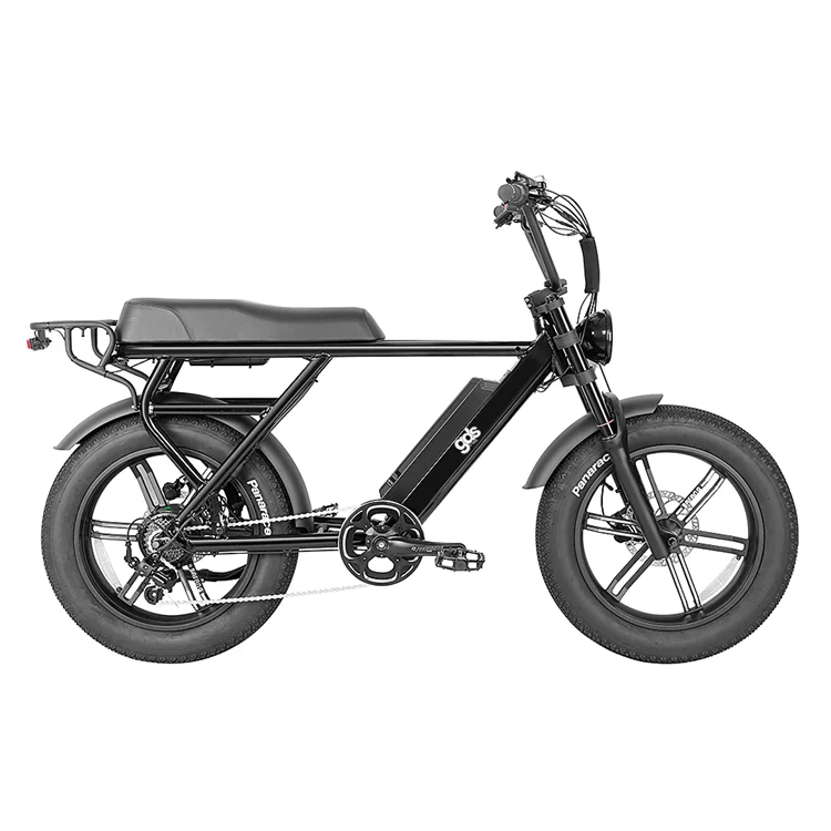 未使用20Ah 電動アシスト自転車 E-bike モペット GDS EBIKE ファットバイク/自転車 モペット 中国製電動自転車 E-バイク