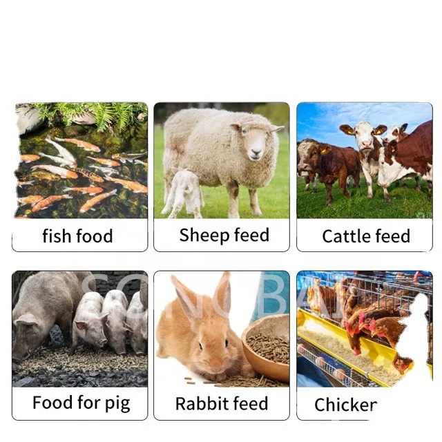 Feed Processing Machines Small Feed Pellet Machine  Flat Die Granulator Horse Dung Bird Manure Granular