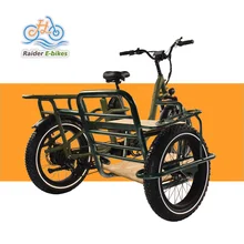 RaiderTrike-C201 Electric Dual lithium Battery Cargo E Bike 48V750W20"  electric tricycles side 3 wheel electric cargo bike
