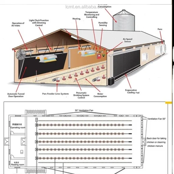 Complete Poultry House turn key project Automatic Feeding Equipment ...