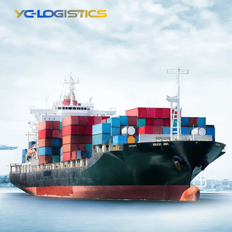 Inspection Service Professional China Shenzhen Swift International Logistics Raliway Train Shipping Agent From China to Brazil