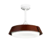 Brown+white