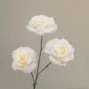 3-head diamond [without leaves] Rose Champagne