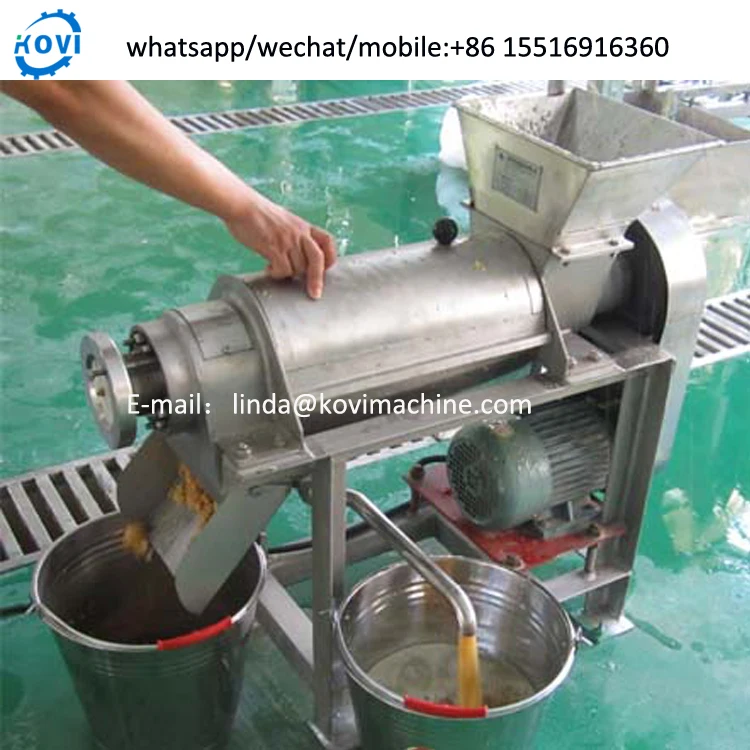 Apple Juice Fresh Orange Juice Machine Carrot Juicer Extractor Machine