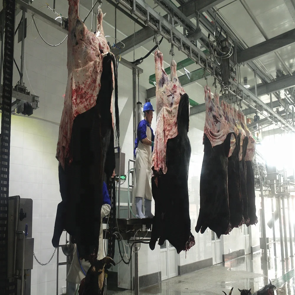 Intelligent Automatic Slaughterhouse System Halal Cow/Cattle Slaughterhouse