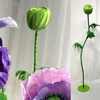 Germoglio verde