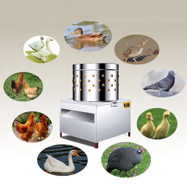 HÜHNERFEDER-ZUPFMASCHINE, PRAKTISCHE ARBEITSERSPARNIS für Gänse, Vögel