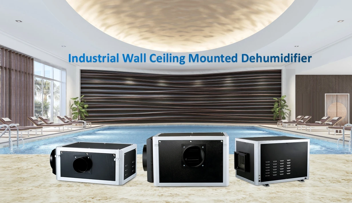 Bam300e Wholesale High Quality Rotary Desiccant Dehumidifier For