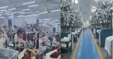 Baisheng Trading (guangzhou) Co., Ltd. 3