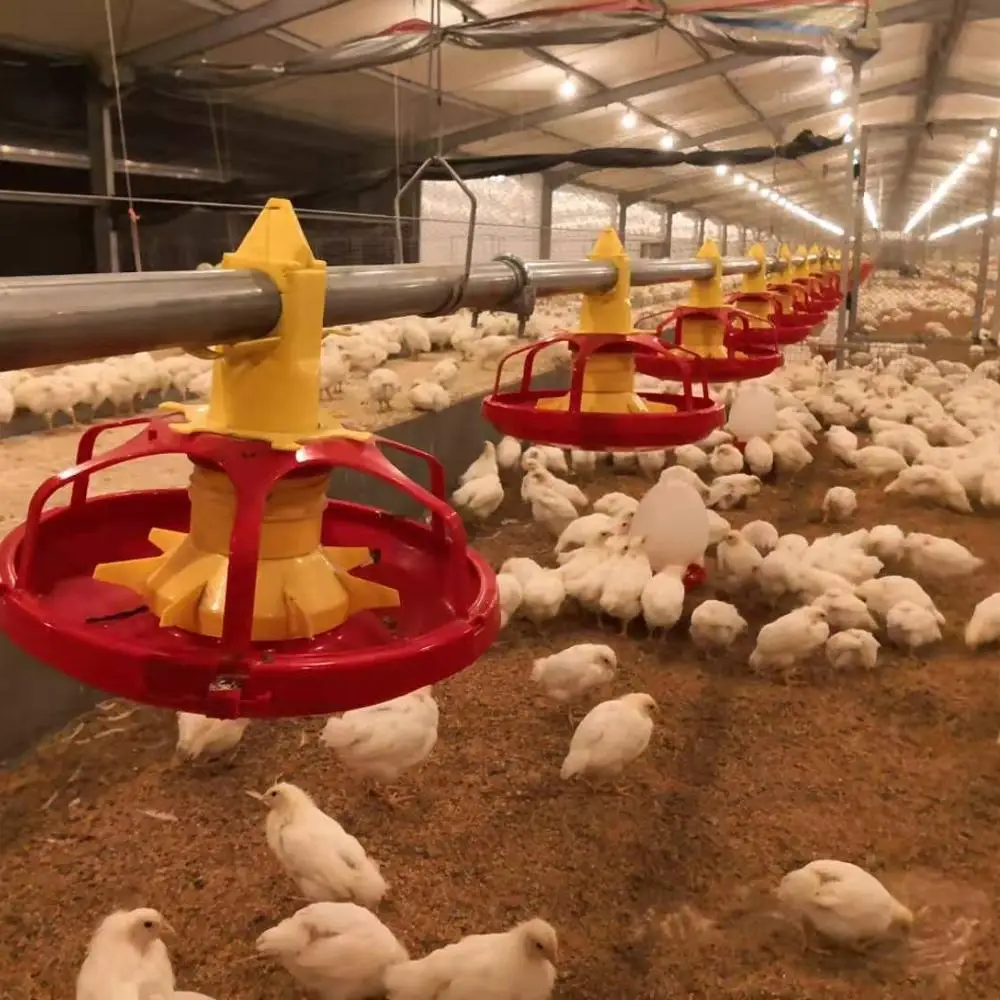 Alibaba.com: Fully Automatic Flat-raised Broiler Floor System Poultry ...