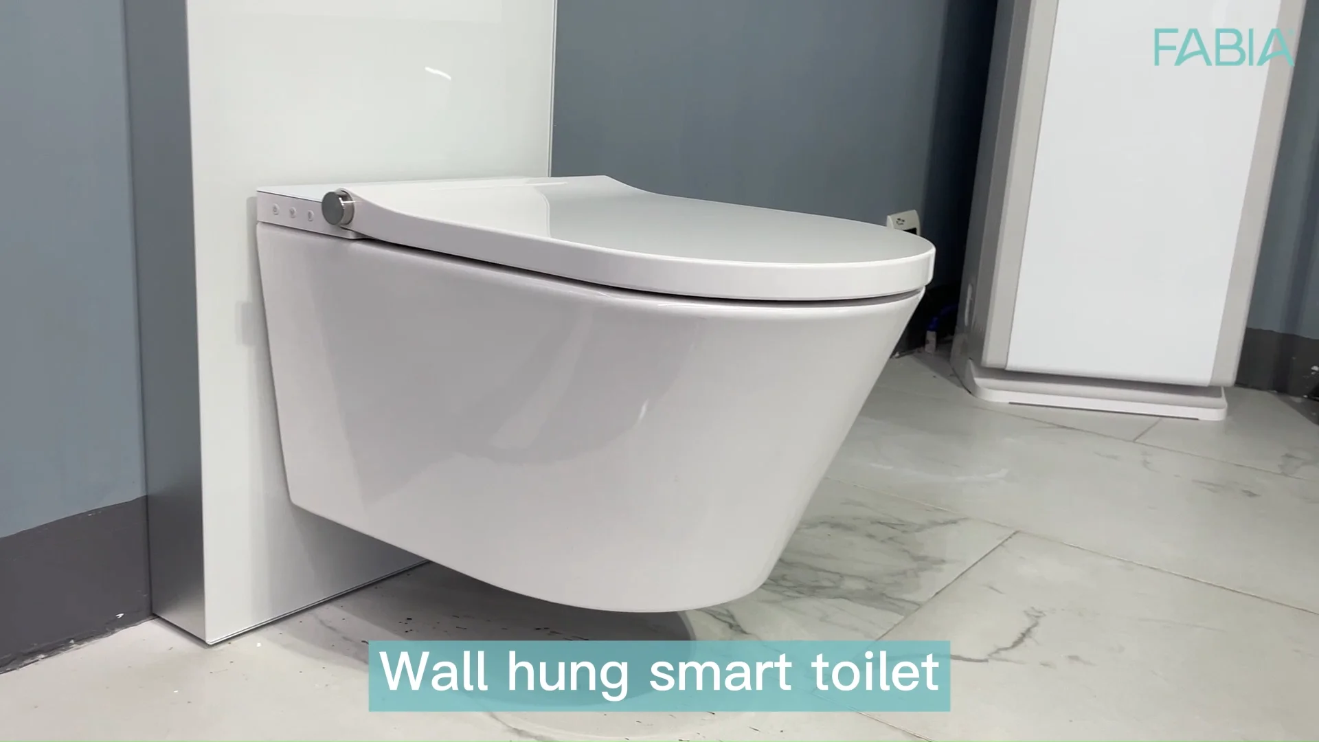 Fabia European Standard Commode Smart Toilets Bowl Rimless Ceramic Wc