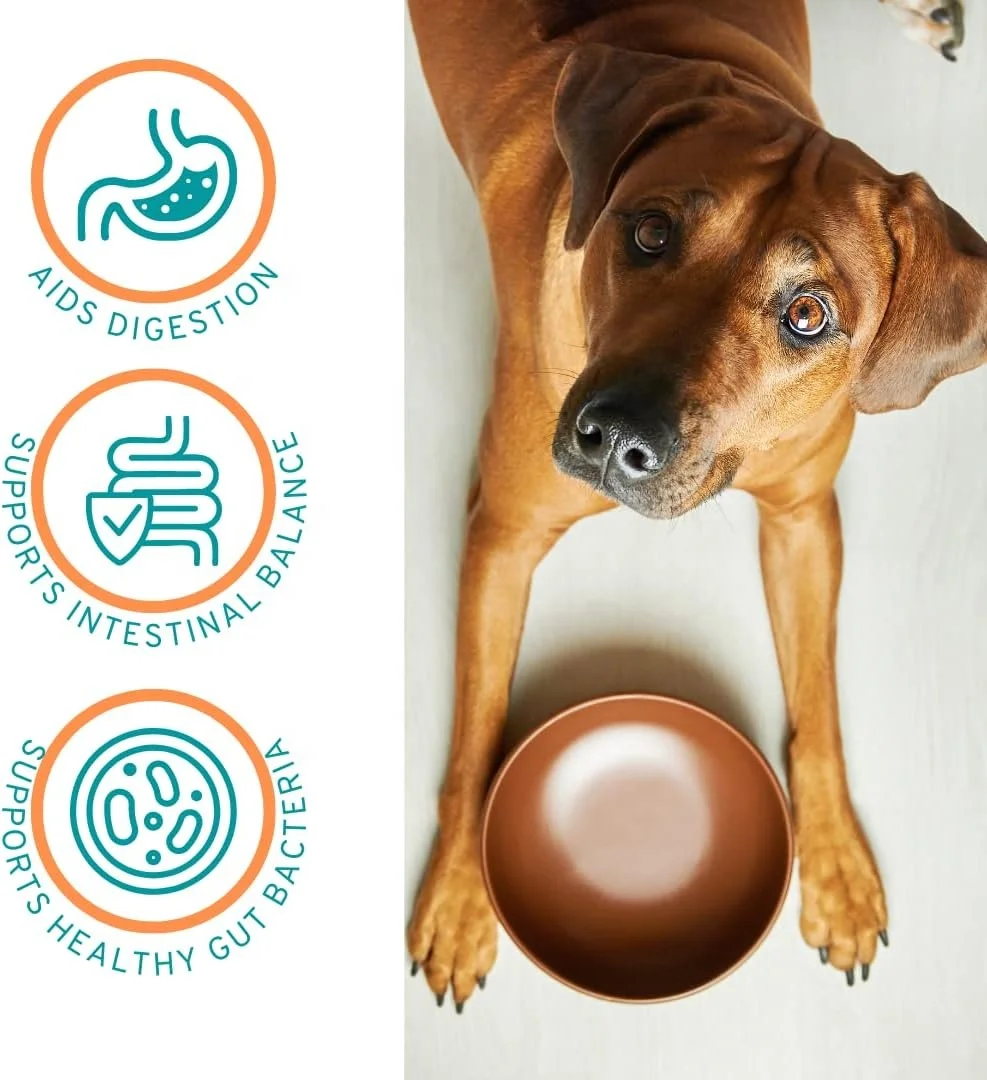 Factory Pet Probiotic Nutritional Supplement Powder Prebiotics and Probiotics for Dog and Cat with FOS Probiotic