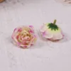 ดอกไม้สีม่วงอมชมพู