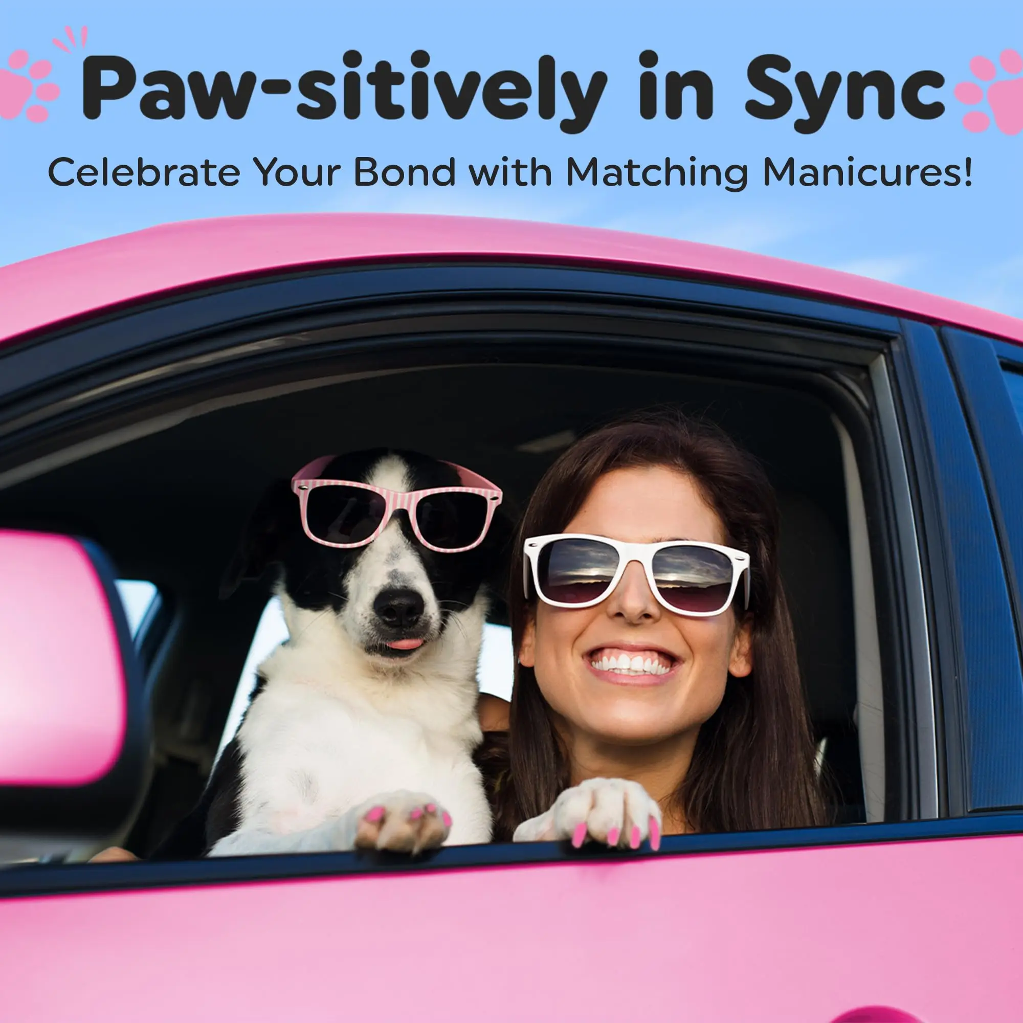 15 Colors Easy Application Dog Safe Nail Polish,Fast Dry Pet Nail