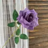 Purple 2