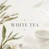100ml-white tea