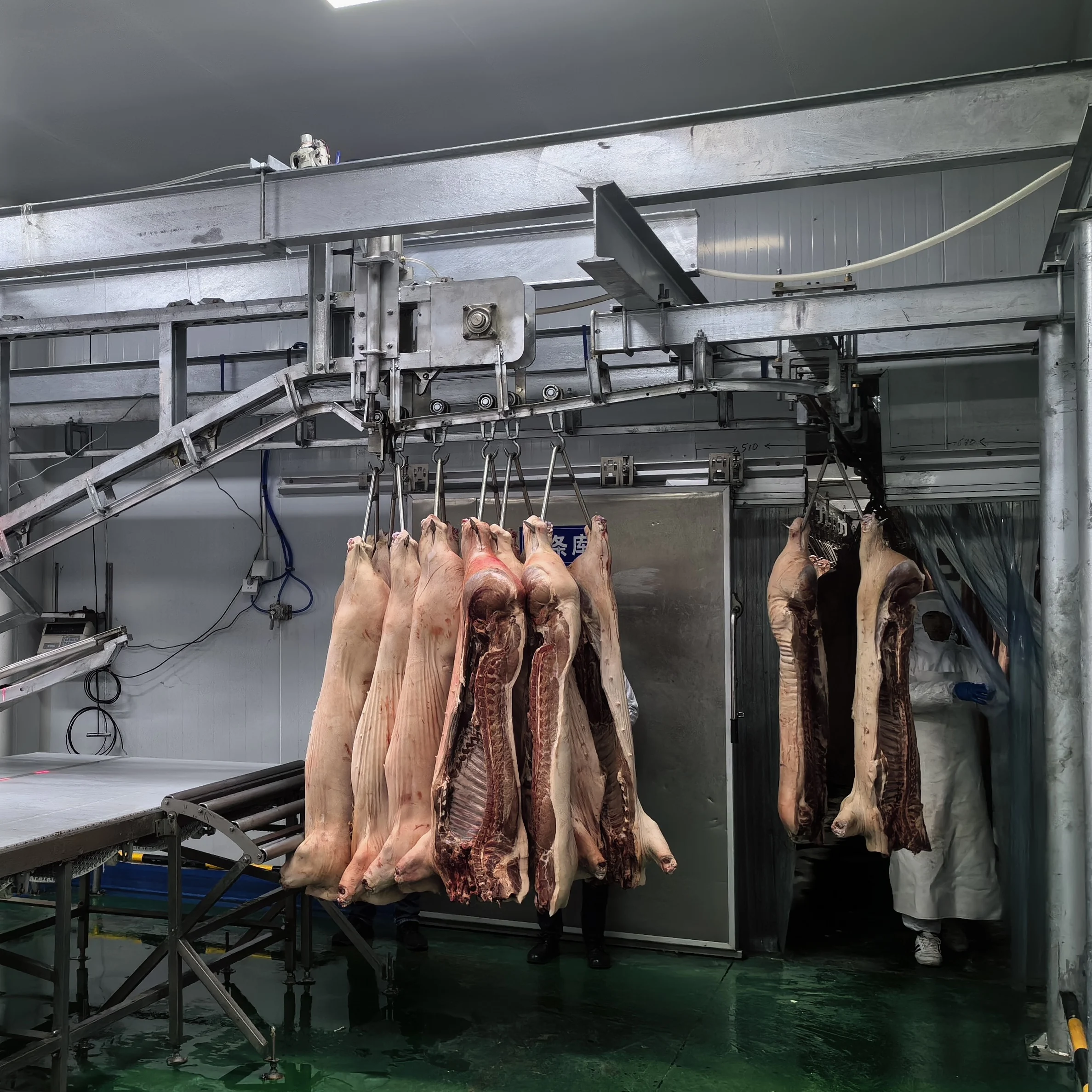 Complete pig slaughterhouse equipment for professional pig slaughtering systems