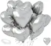 Silver PTZ00230-6