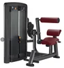 Entrenador de extensión de espalda L8009