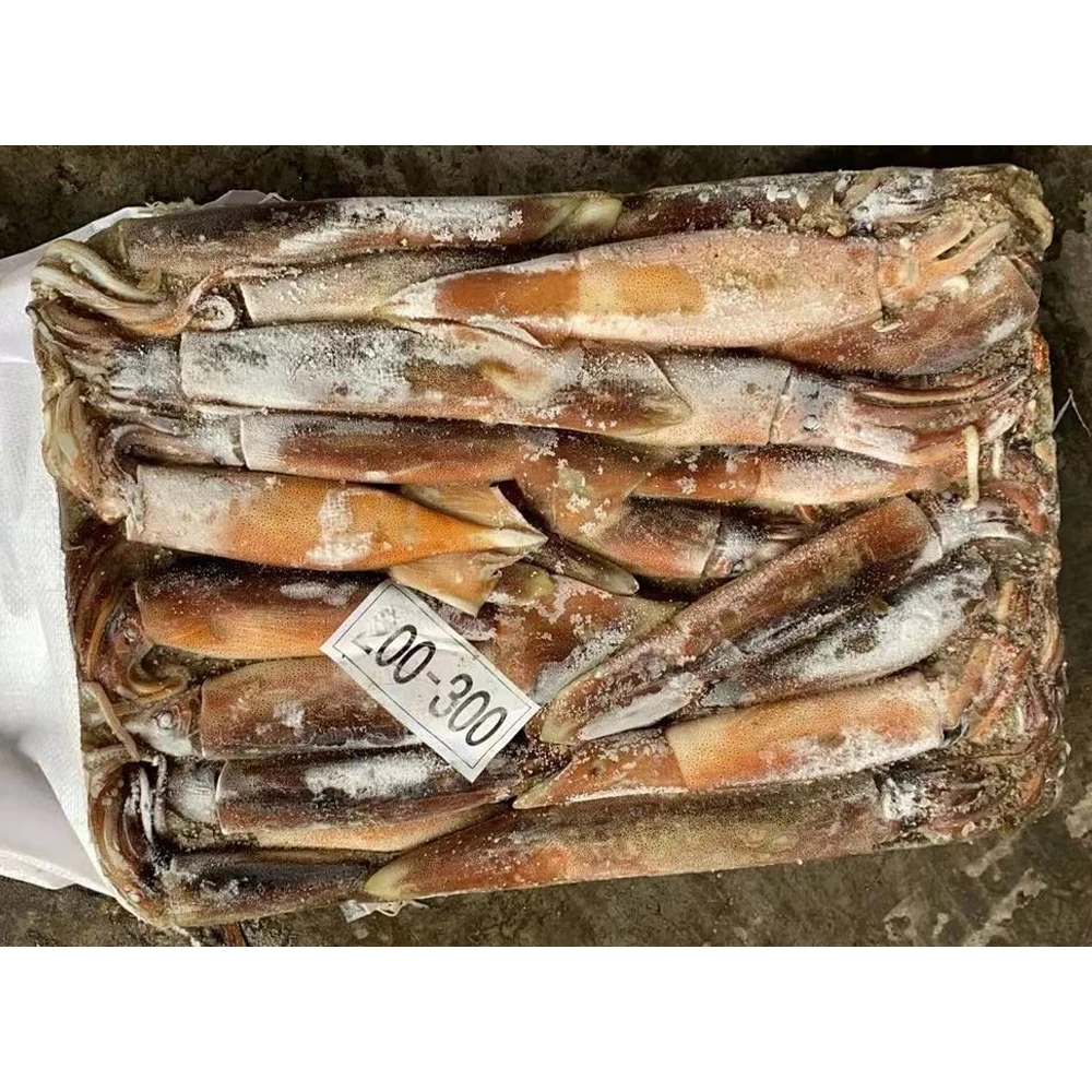 Китайский экспортер Замороженные Кальмары illex loligo замороженные argentina кальмары