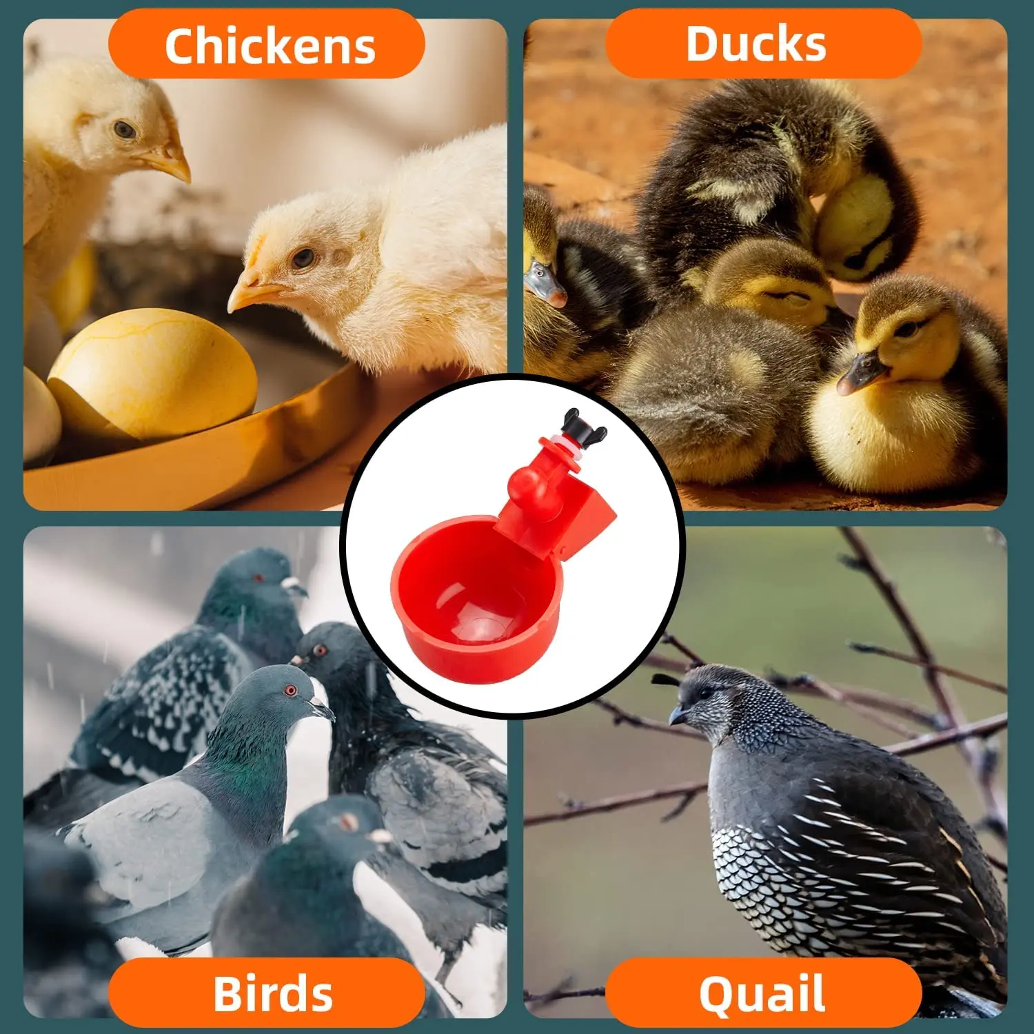 Plastic Red Chicken Drinking Cup Automatic Chicken Drinker Water Bowl Chicken Feeders and Drinkers