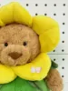 orso narciso