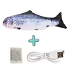 Salmon