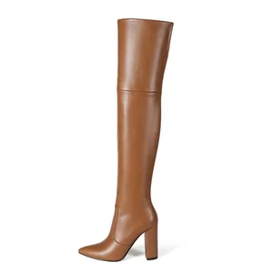 Women Pointed Toe Over the Knee Boots Chunky Heel Winter Long Boot for Ladies Block Heel Brown Boot