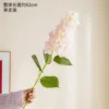 Pointed-head hydrangea pink