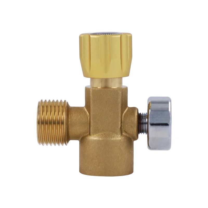 Acquista Adattatore per CO2 per acqua gassata TR21 4 Filettatura maschio Connettore per bombola di CO2 per acqua gassata per Terra in Italia a partire da 17