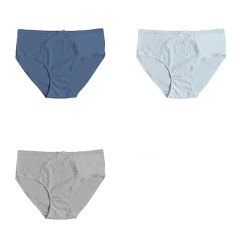 Hot Selling Comfortable Promotional Customizable Women Panties 2023 Wholesale