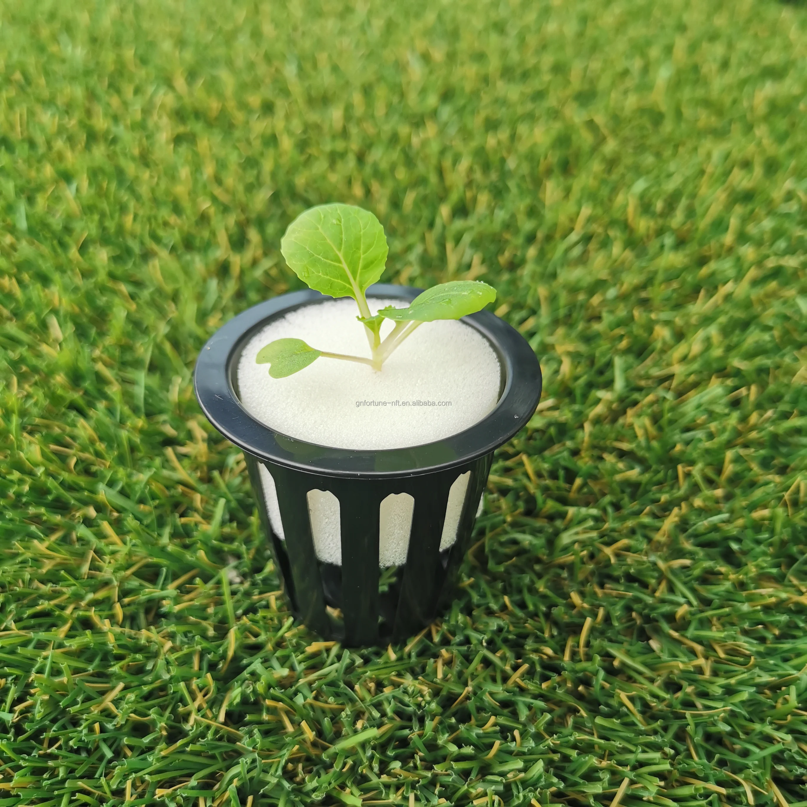 hydroponic net cups