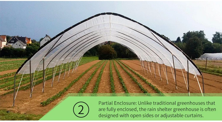 Economical Multispan Rain Shelter Greenhouse with Hot Galvanized Steel Frame for Kiwi Growing