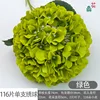 116 กลีบต่อหนึ่งก้าน, สีเขียว