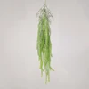 Verde 14#