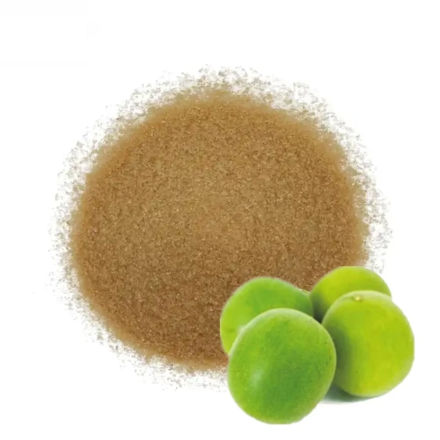 Hot Sale low calorie natural sugar substitute monkfruit Golden Brown organic Monk Fruit sweetener