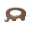 TK002 Elefante
