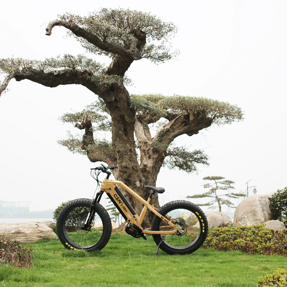 Rohloff Belt Drive Fat Tire Bike Rohloff 14 Speed Hub 48v 1000w