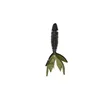 Green loose tail shrimp bulk single