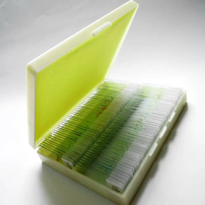 Students 100PCS Shockproof Prepared Slides For Biology