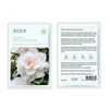 Camellia