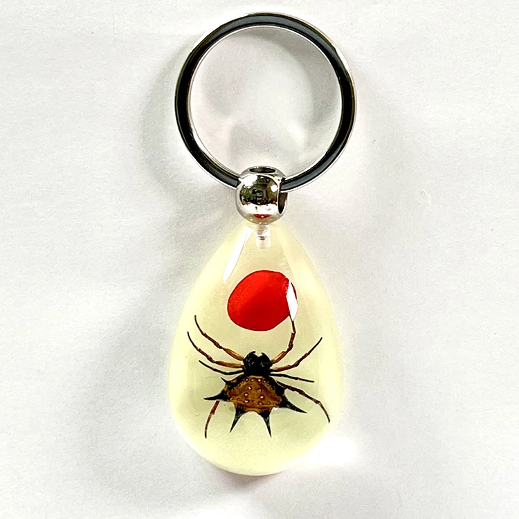 IVR Resin Keychain Glowing Insect Decorations for Boys