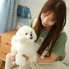 Bichón frisé