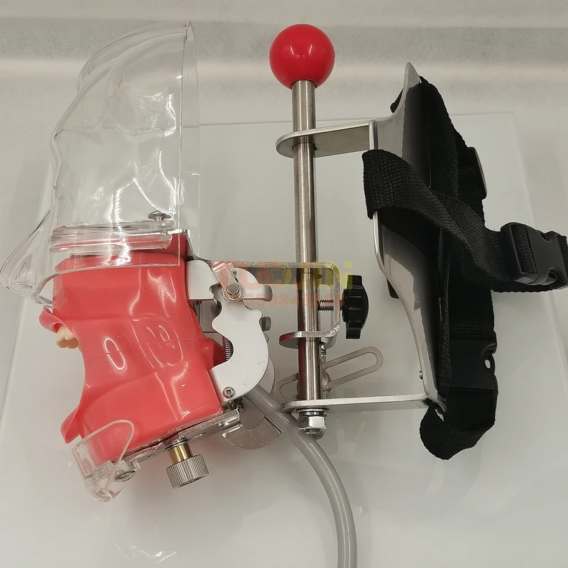 
 Горячая Распродажа, модель зубов, медицинское оборудование, модель зубной фантомной головки, стоматологический школьный тренажер, наборы аксессуаров  